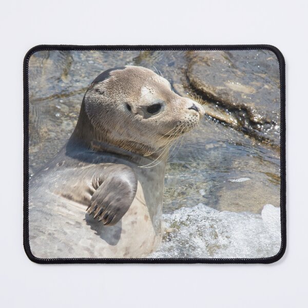 Item preview, Seal Pup designed and sold by LaurenTucker.