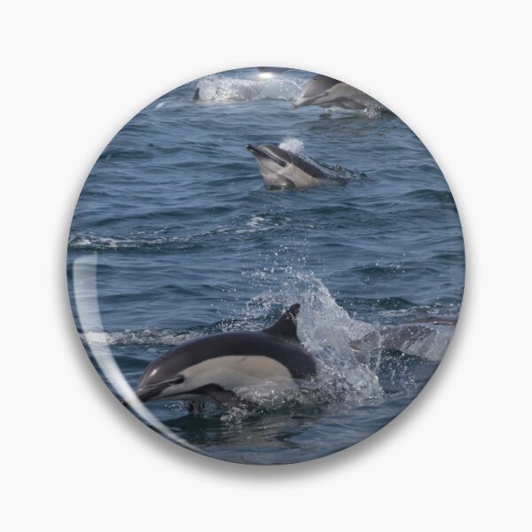 Item preview, Common Dolphins designed and sold by LaurenTucker.