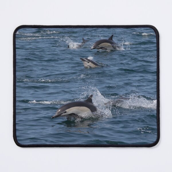 Item preview, Common Dolphins designed and sold by LaurenTucker.