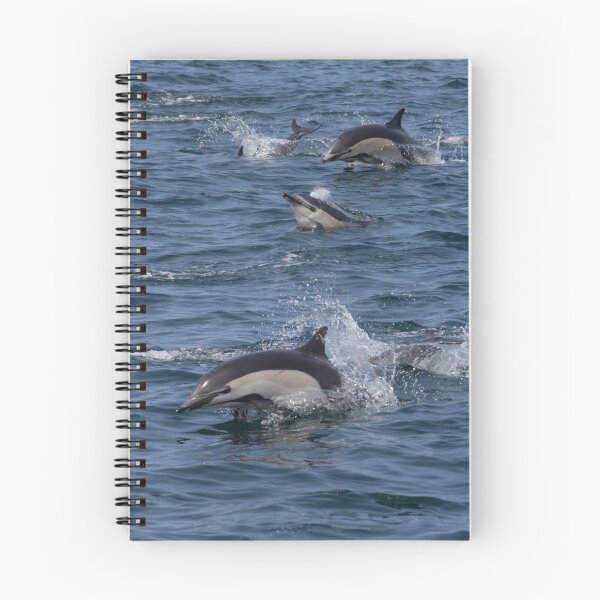 Item preview, Common Dolphins designed and sold by LaurenTucker.