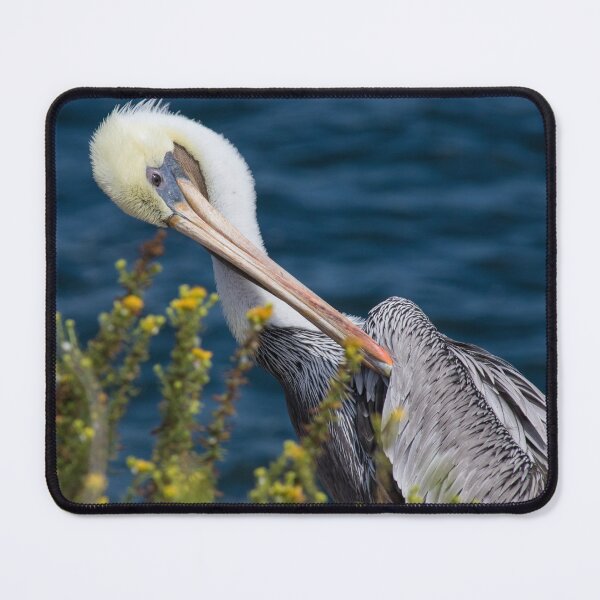 Item preview, Pelican designed and sold by LaurenTucker.