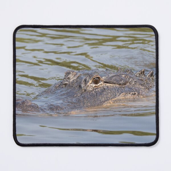 Item preview, Alligator designed and sold by LaurenTucker.