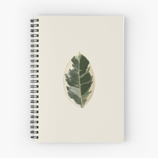 Item preview, Ficus Elastica Variegata designed and sold by mooneko.