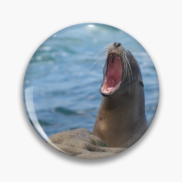 Item preview, Sea Lion designed and sold by LaurenTucker.