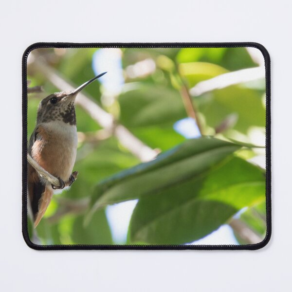 Item preview, Allen's Hummingbird designed and sold by LaurenTucker.