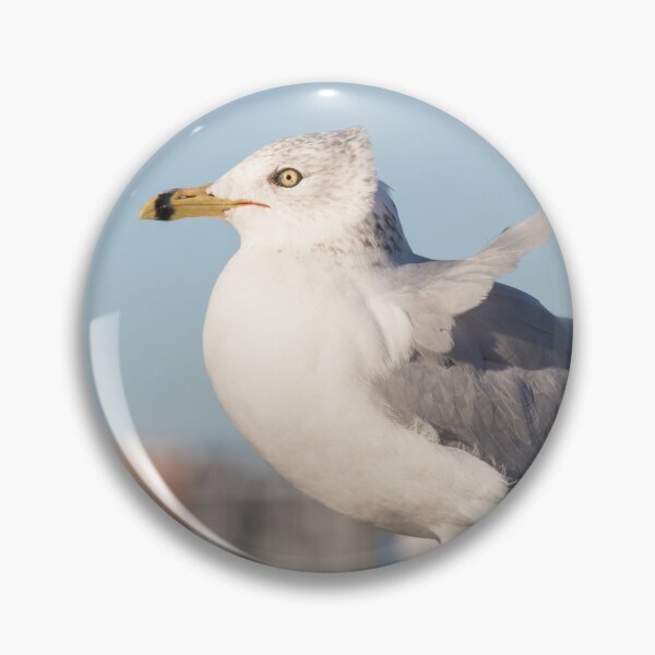 Item preview, Ring Billed Gull designed and sold by LaurenTucker.