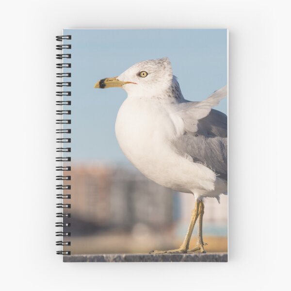 Item preview, Ring Billed Gull designed and sold by LaurenTucker.