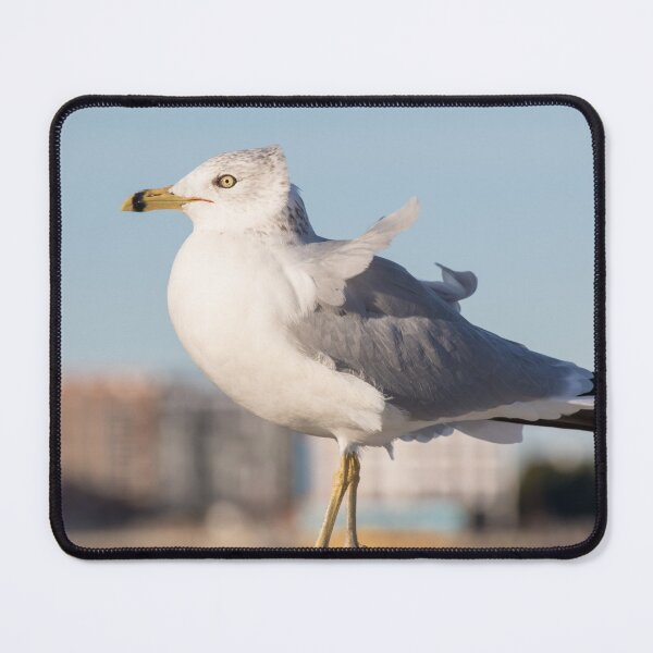 Item preview, Ring Billed Gull designed and sold by LaurenTucker.