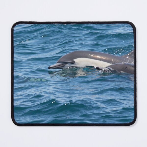 Item preview, Common Dolphin designed and sold by LaurenTucker.
