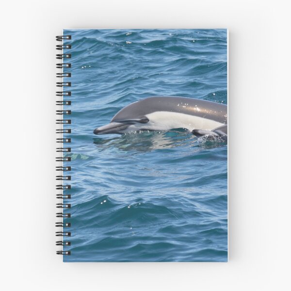 Item preview, Common Dolphin designed and sold by LaurenTucker.