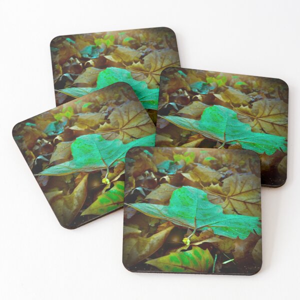 Item preview, Brighter than the rest. designed and sold by Lorraine Lashley  - My Joy..