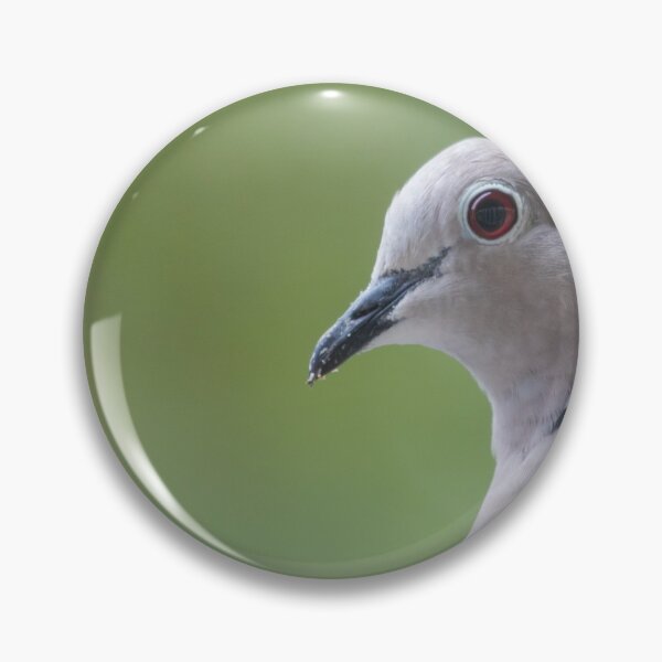 Item preview, Collared Dove designed and sold by LaurenTucker.