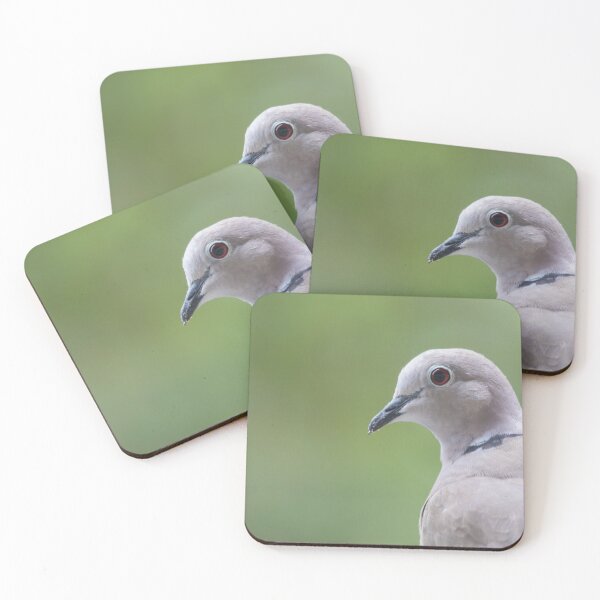 Item preview, Collared Dove designed and sold by LaurenTucker.