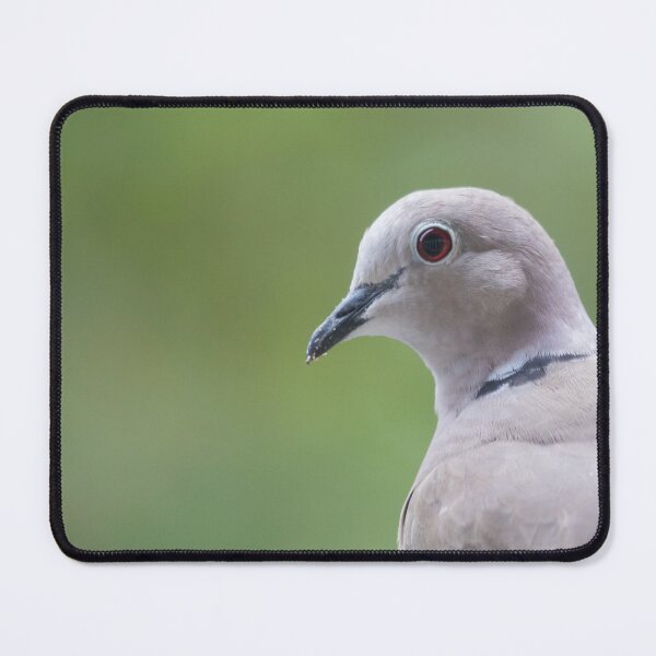 Item preview, Collared Dove designed and sold by LaurenTucker.