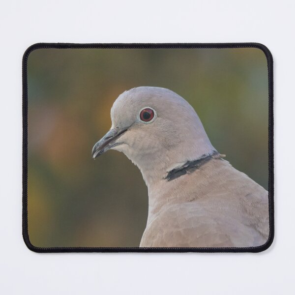 Item preview, Collared Dove designed and sold by LaurenTucker.