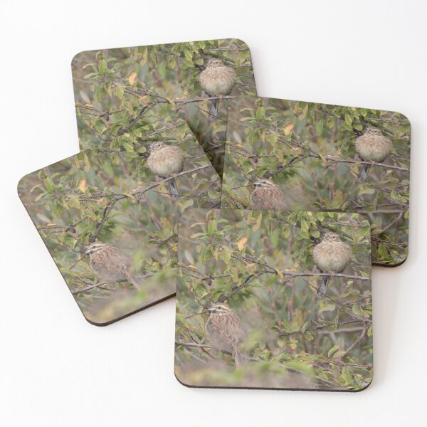Item preview, Cirl Bunting designed and sold by LaurenTucker.