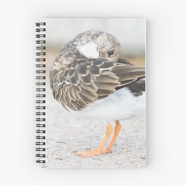 Item preview, Turnstone designed and sold by LaurenTucker.