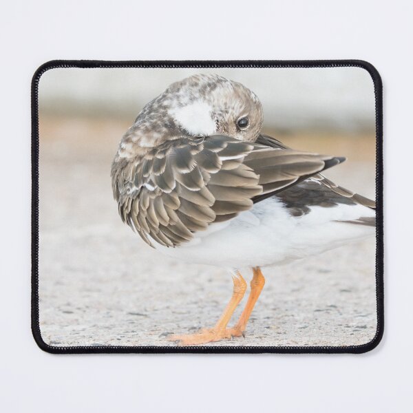 Item preview, Turnstone designed and sold by LaurenTucker.
