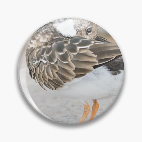 Item preview, Turnstone designed and sold by LaurenTucker.