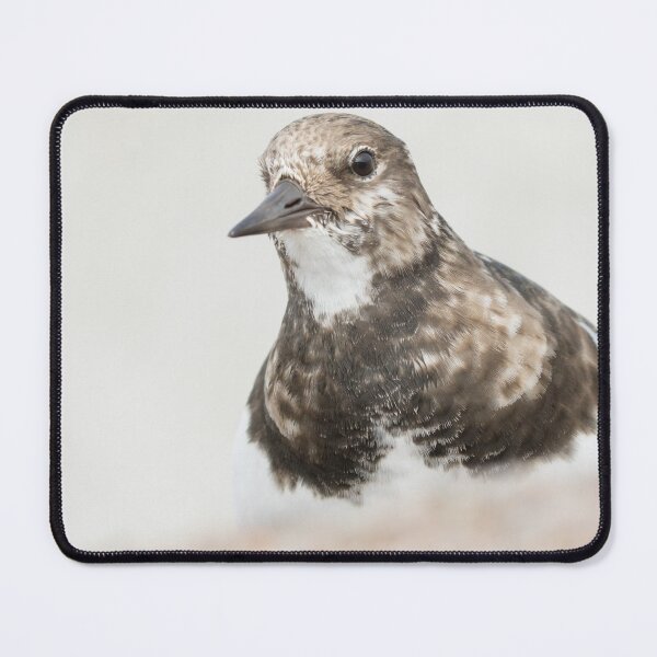 Item preview, Turnstone designed and sold by LaurenTucker.