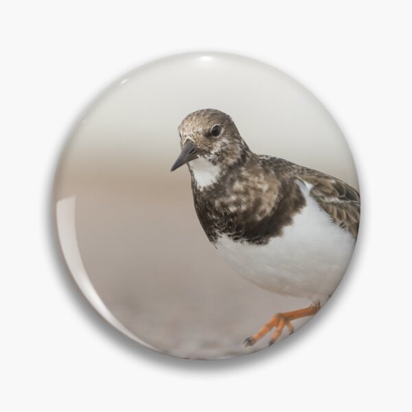 Item preview, Turnstone designed and sold by LaurenTucker.