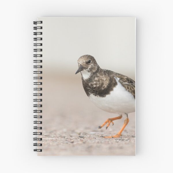 Item preview, Turnstone designed and sold by LaurenTucker.