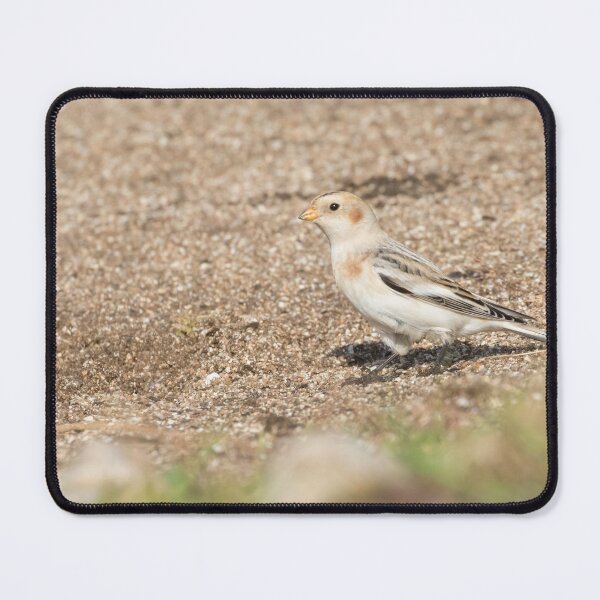Item preview, Snow Bunting designed and sold by LaurenTucker.