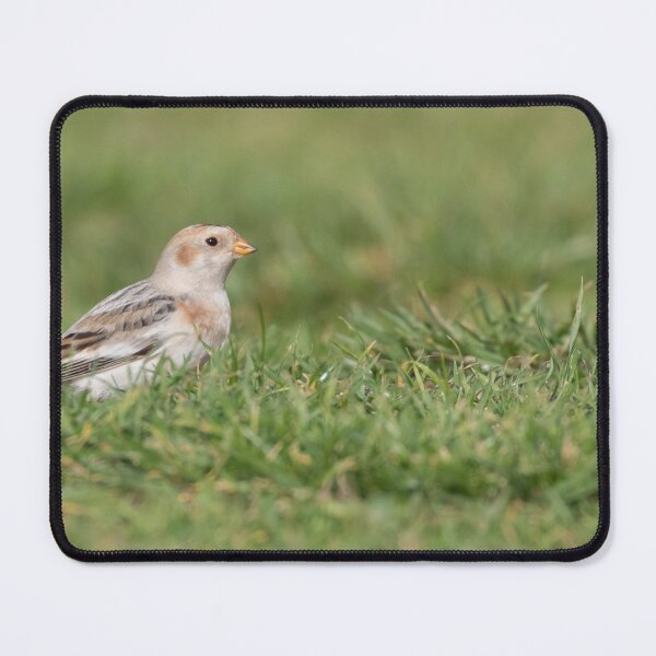 Item preview, Snow Bunting designed and sold by LaurenTucker.