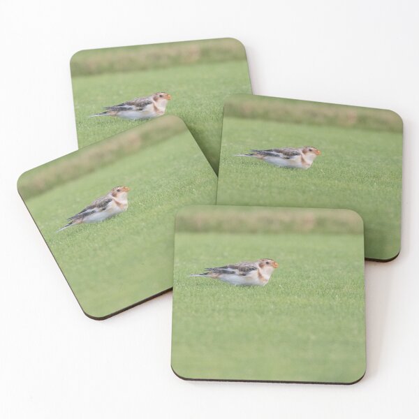 Item preview, Snow Bunting designed and sold by LaurenTucker.