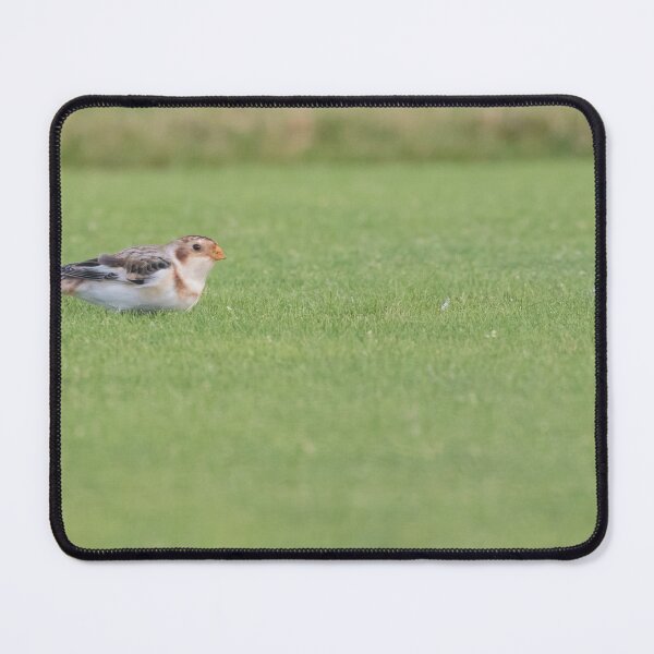 Item preview, Snow Bunting designed and sold by LaurenTucker.