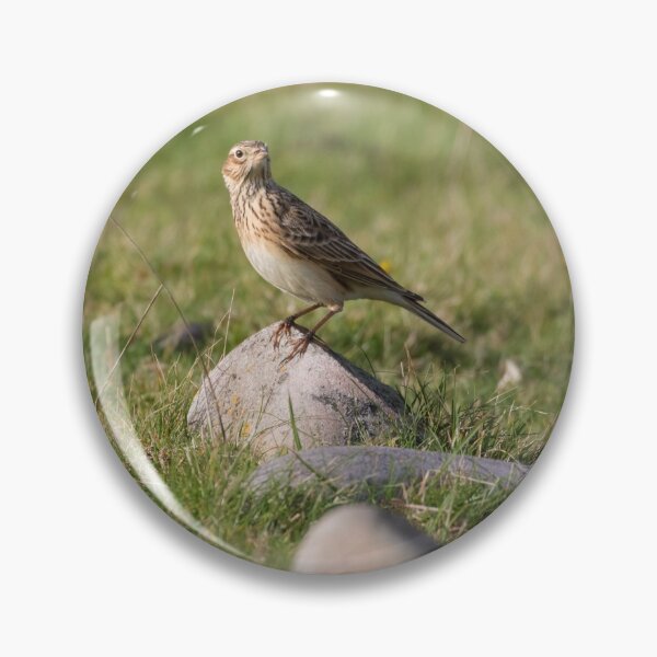 Item preview, Skylark designed and sold by LaurenTucker.