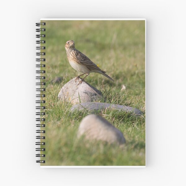 Item preview, Skylark designed and sold by LaurenTucker.