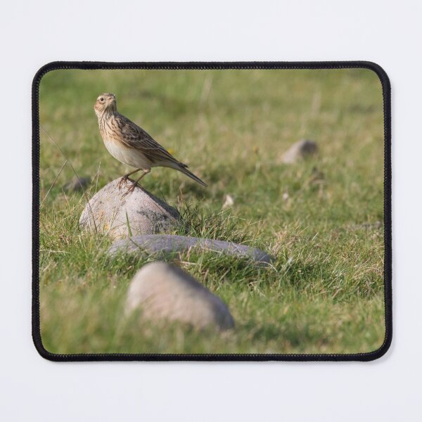 Item preview, Skylark designed and sold by LaurenTucker.