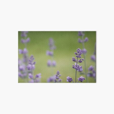 Artikel-Vorschau von Jardin d'été, designt und verkauft von Anne Staub.