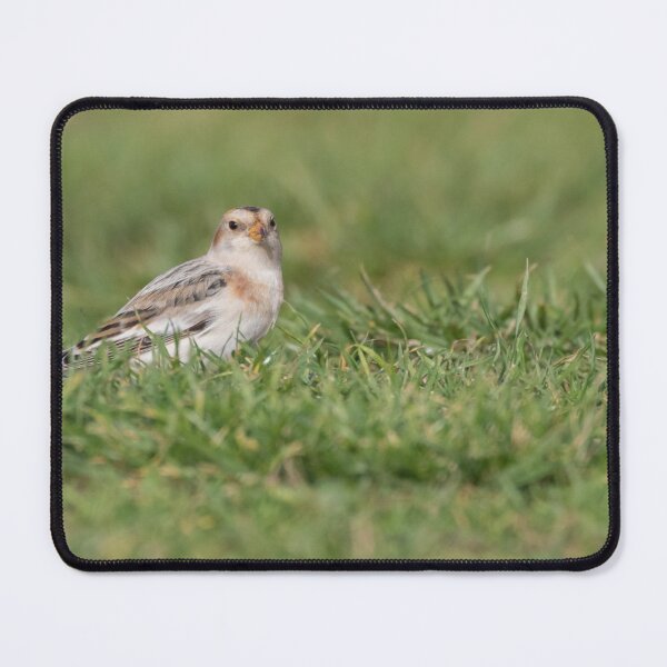 Item preview, Snow Bunting designed and sold by LaurenTucker.