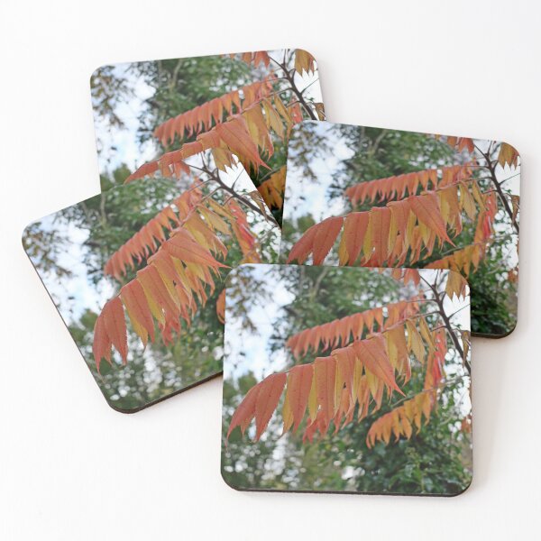 Item preview, Leaves turning orange in autumn designed and sold by santoshputhran.