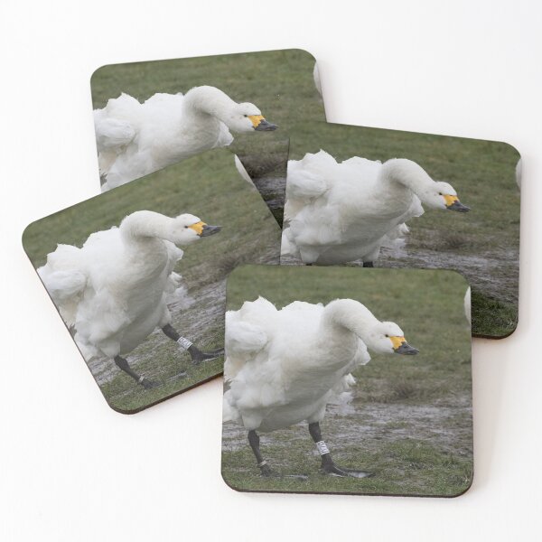 Item preview, Bewick Swan designed and sold by LaurenTucker.