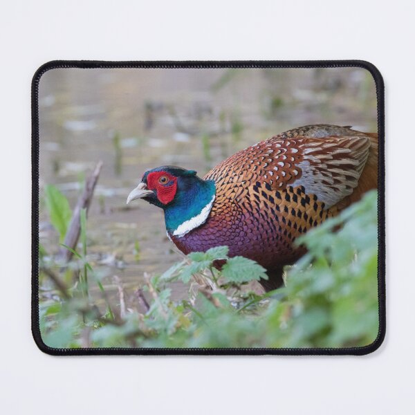 Item preview, Pheasant designed and sold by LaurenTucker.