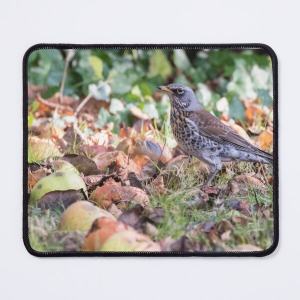 Item preview, Fieldfare designed and sold by LaurenTucker.