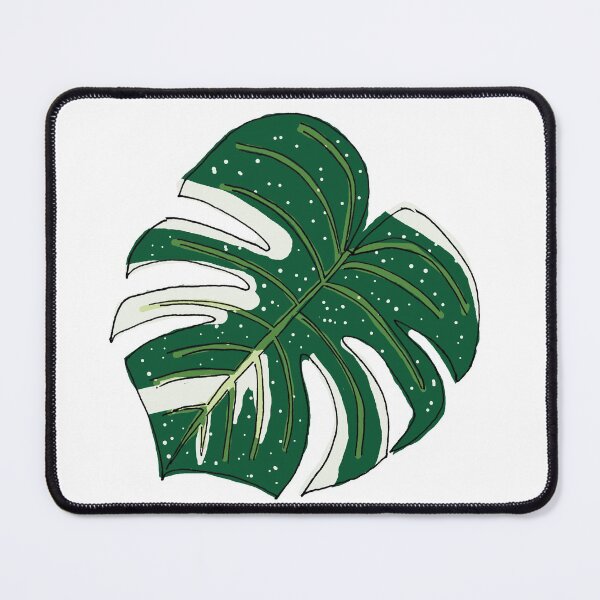Item preview, Monstera Thai Constellation designed and sold by lovethemplants.