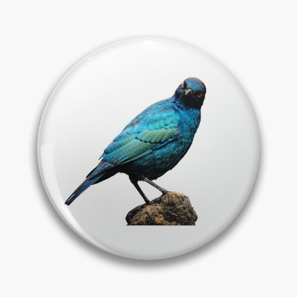 Item preview, European Starling designed and sold by VarietyYOU.