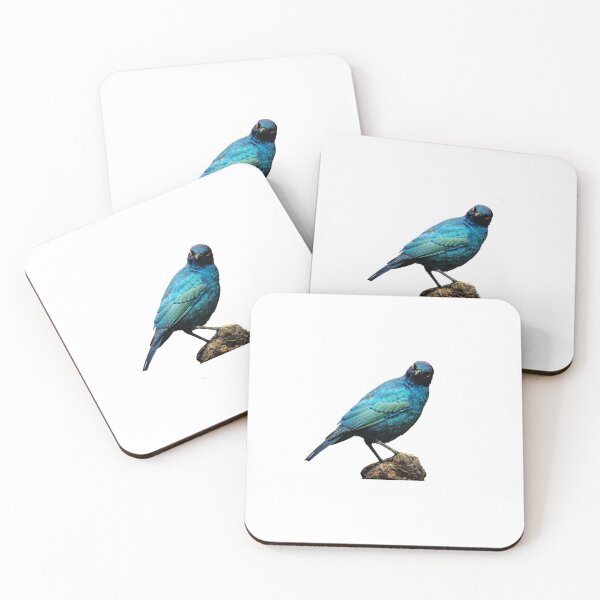 Item preview, European Starling designed and sold by VarietyYOU.