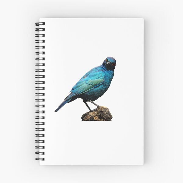 Item preview, European Starling designed and sold by VarietyYOU.