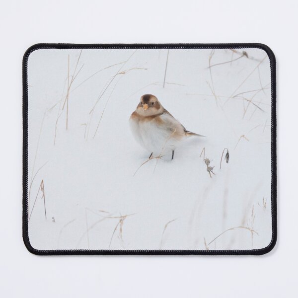 Item preview, Snow Bunting designed and sold by LaurenTucker.