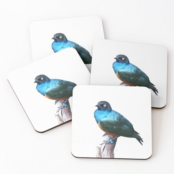 Item preview, Blue European Starling designed and sold by VarietyYOU.