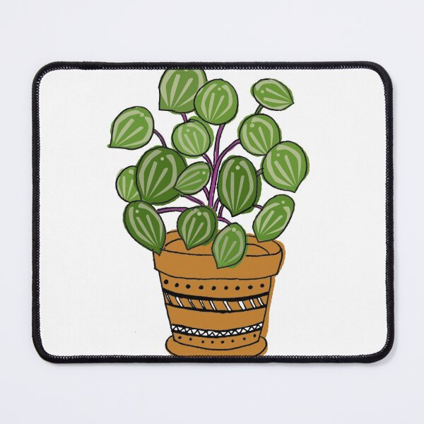 Item preview, Watermelon Peperomia designed and sold by lovethemplants.
