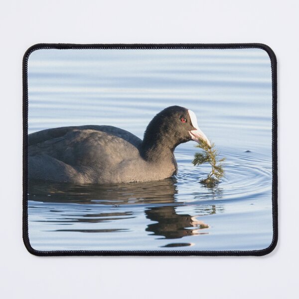 Item preview, Coot designed and sold by LaurenTucker.