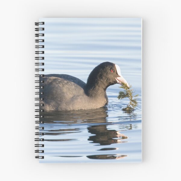 Item preview, Coot designed and sold by LaurenTucker.