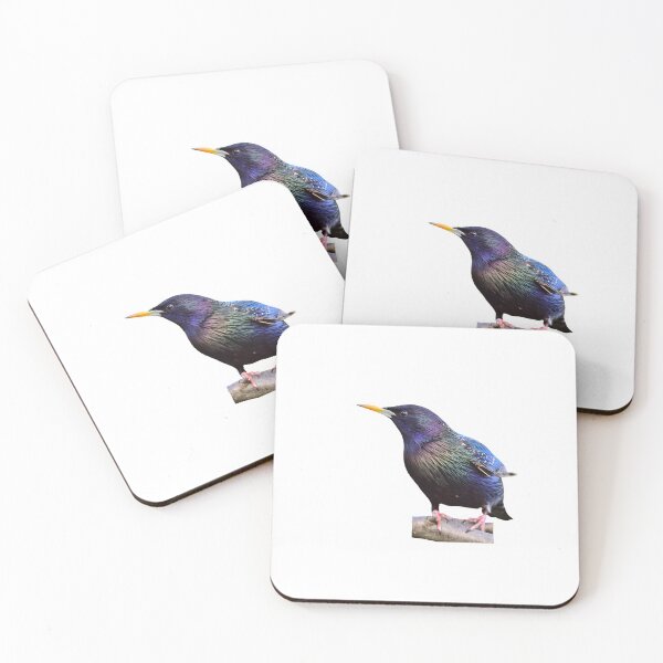 Item preview, Chubby European Starling designed and sold by VarietyYOU.