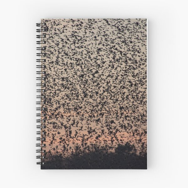 Item preview, Starling Murmuration designed and sold by LaurenTucker.